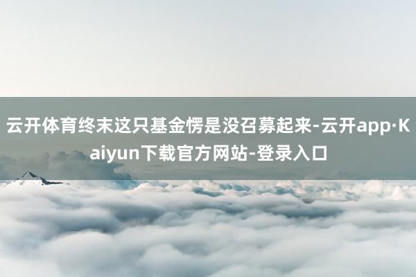 云开体育终末这只基金愣是没召募起来-云开app·Kaiyun下载官方网站-登录入口